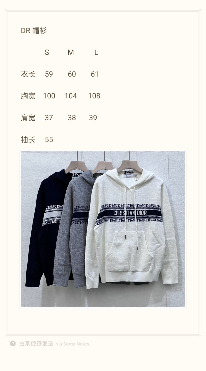 Christian Dior Hoodies